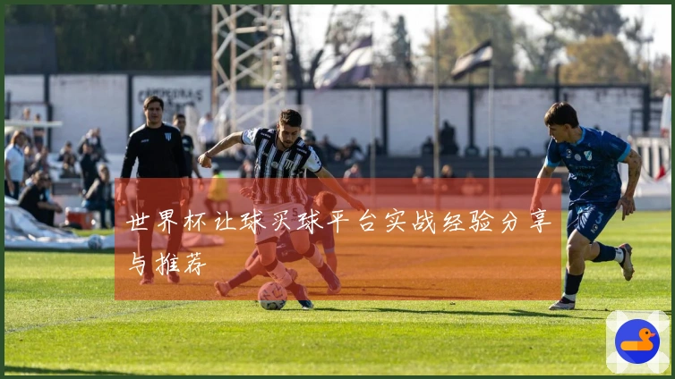 世界杯让球买球平台实战经验分享与推荐