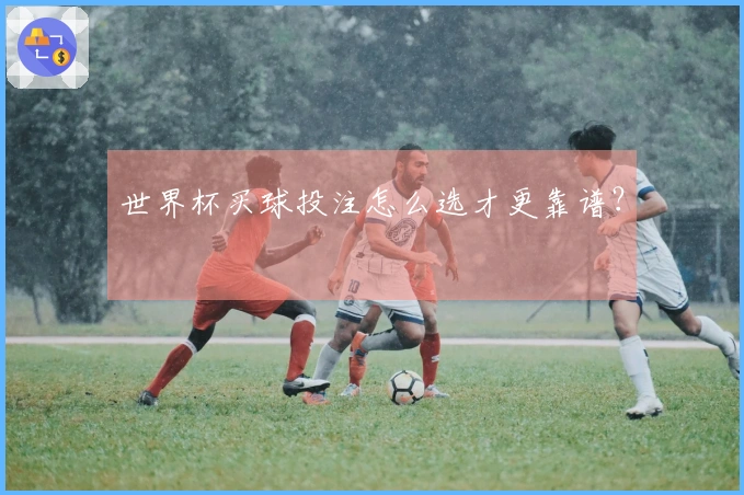 世界杯买球投注怎么选才更靠谱？