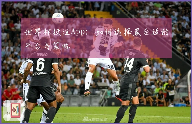 世界杯投注App：如何选择最合适的平台与策略