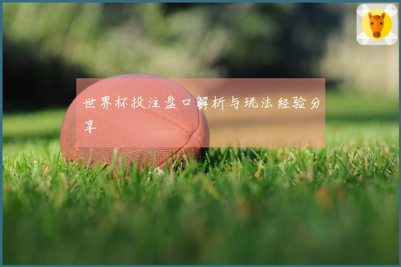 世界杯投注盘口解析与玩法经验分享