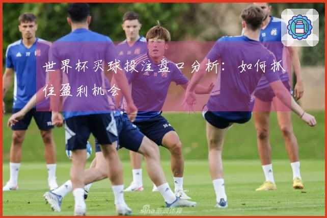世界杯买球投注盘口分析：如何抓住盈利机会