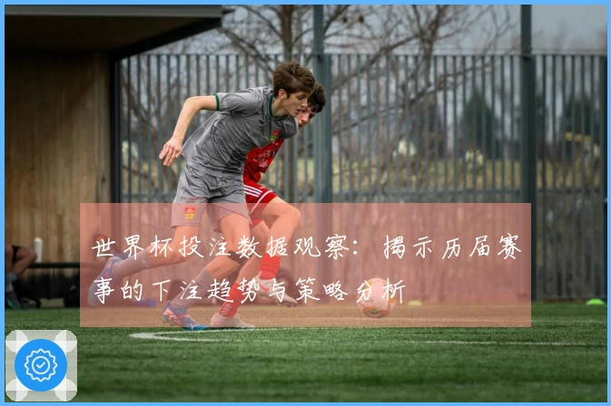 世界杯投注数据观察：揭示历届赛事的下注趋势与策略分析