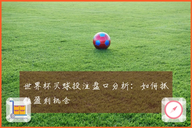 世界杯买球投注盘口分析：如何抓住盈利机会
