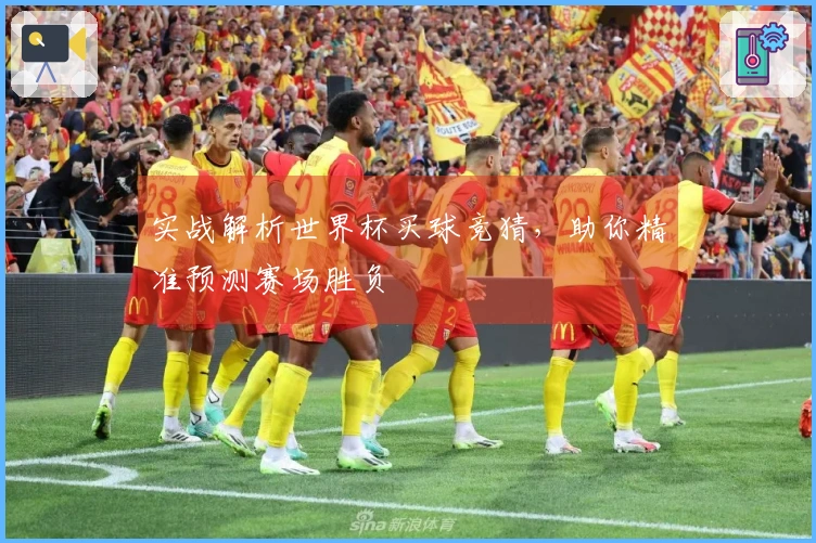 实战解析世界杯买球竞猜，助你精准预测赛场胜负