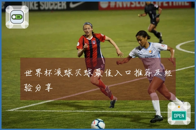 世界杯滚球买球最佳入口推荐及经验分享