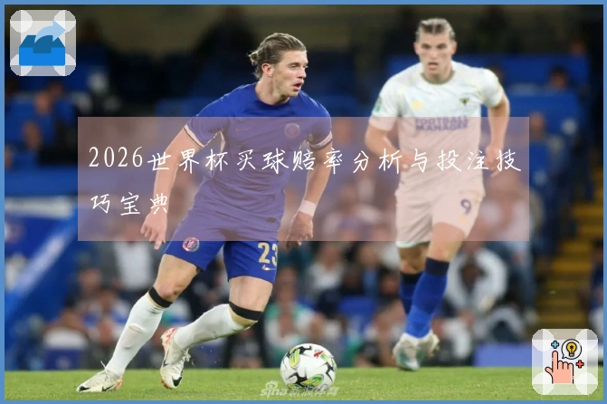 2026世界杯买球赔率分析与投注技巧宝典