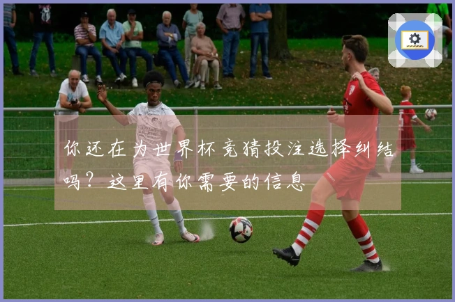 你还在为世界杯竞猜投注选择纠结吗？这里有你需要的信息
