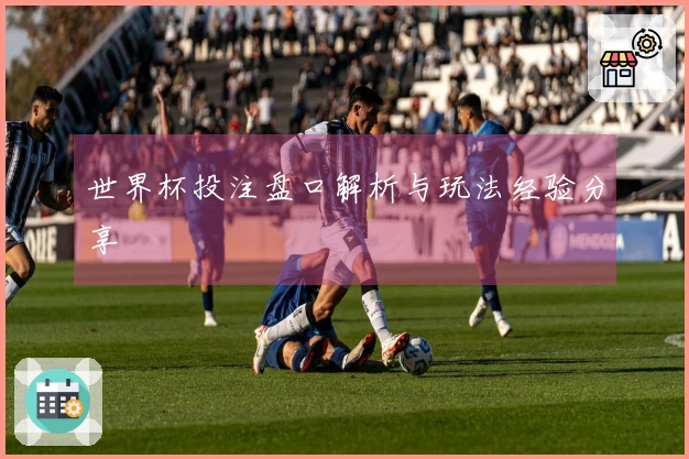 世界杯投注盘口解析与玩法经验分享