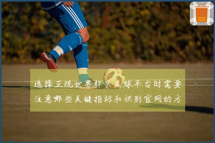 选择正规世界杯买足球平台时需要注意哪些关键指标和识别官网的方法