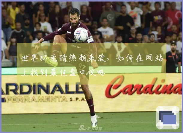 世界杯竞猜热潮来袭，如何在网站上找到最佳盘口攻略