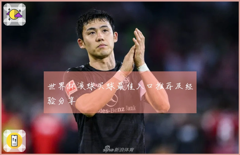世界杯滚球买球最佳入口推荐及经验分享