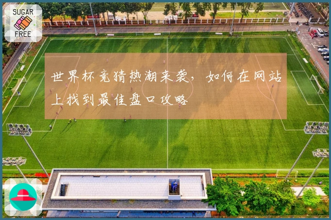 世界杯竞猜热潮来袭，如何在网站上找到最佳盘口攻略