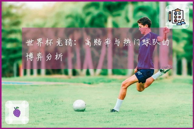 世界杯竞猜：高赔率与热门球队的博弈分析