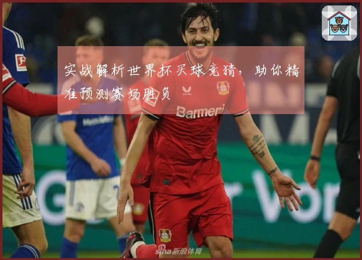 实战解析世界杯买球竞猜，助你精准预测赛场胜负