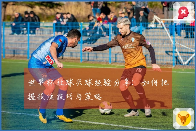 世界杯让球买球经验分享：如何把握投注技巧与策略